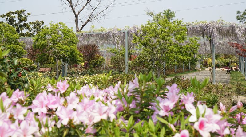 引力播