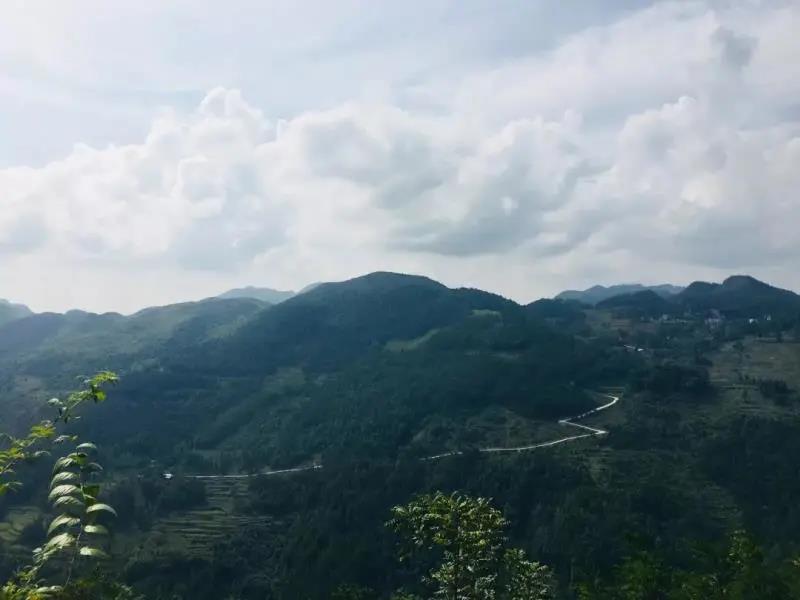 引力播