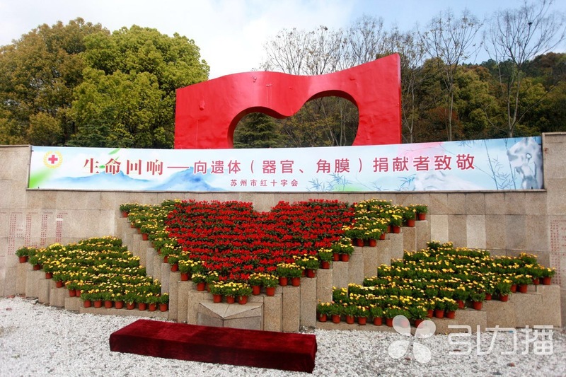 引力播