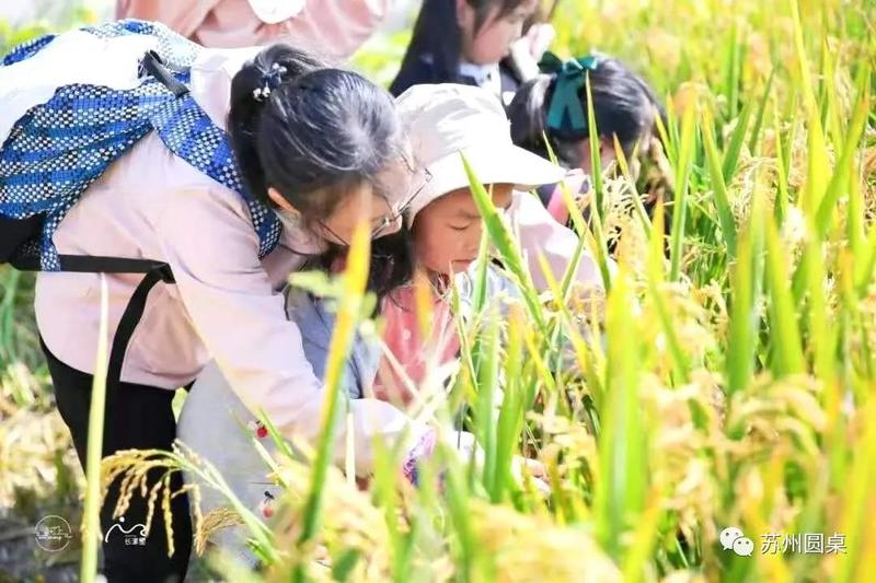 引力播