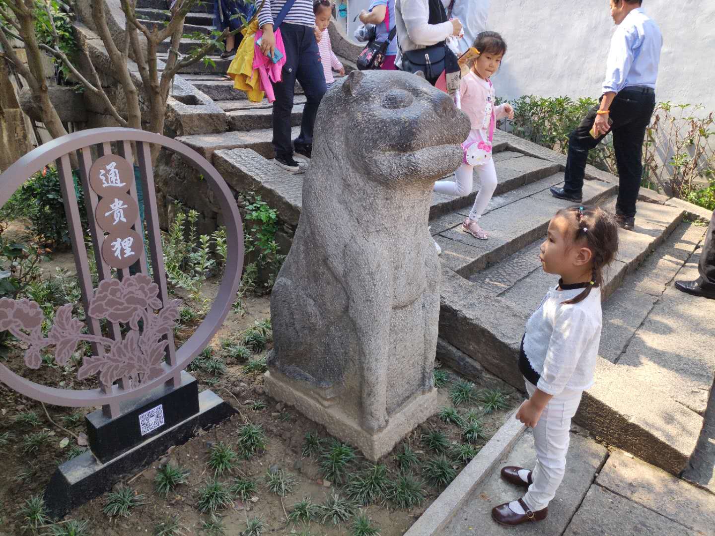 狸猫■山塘狸猫办“身份证”啦