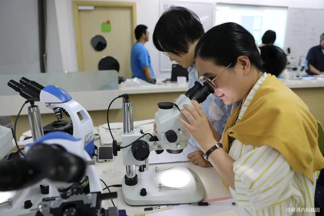 将生物课堂变有趣 50位苏州生物教师开展暑期引智培训项目 澳门威尼斯人官网