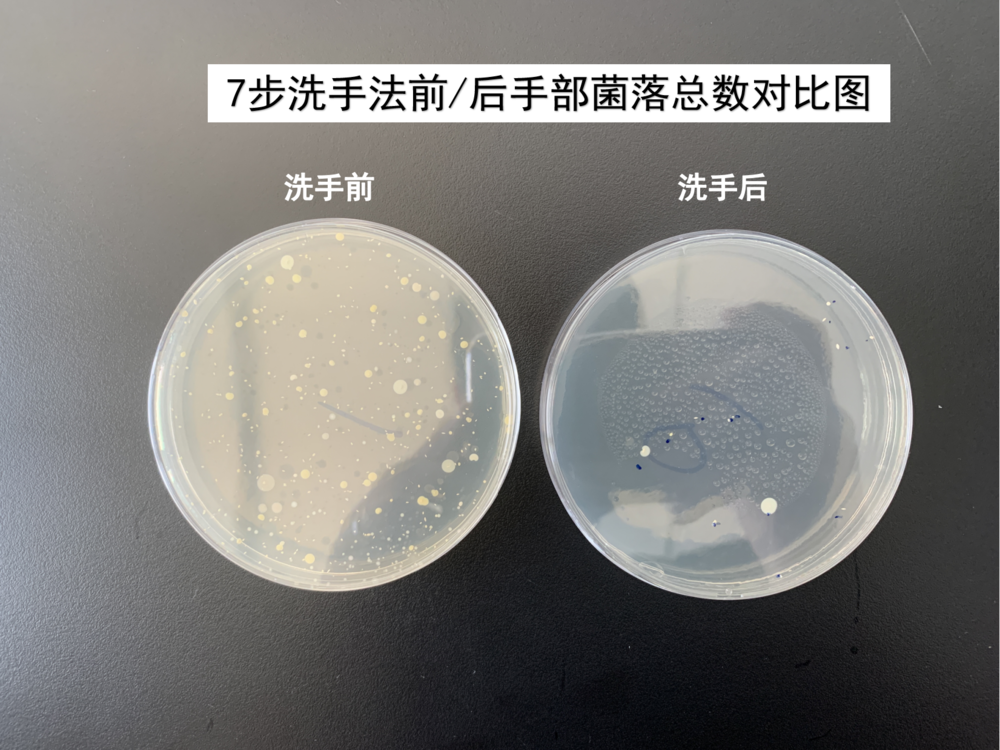 洗手能洗掉多少细菌?一个实验告诉你!